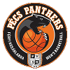 https://img.cz2sc.com/img/basketball/team/910780fe6318e85fae4659d07270bc25.png