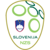 https://img.cz2sc.com/img/football/team/28e97dabef175dde961ee53cd99a516d.png