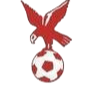 https://img.cz2sc.com/img/football/team/4802d26df935b78bb2fcdbbff36e8864.png