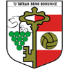 https://img.cz2sc.com/img/football/team/5b01c52c68b4b145d880a9e8326aec3b.png