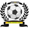 https://img.cz2sc.com/img/football/team/6dc6d59af2f0962597b412473a6708ee.png