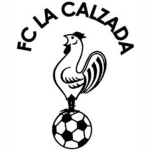 https://img.cz2sc.com/img/football/team/93ae73263044772f212db7c0f24585e9.png