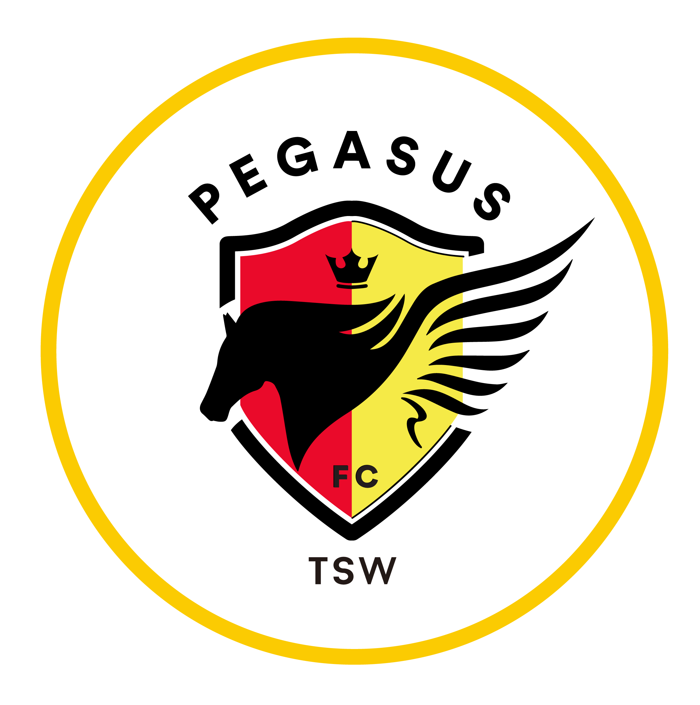 https://img.cz2sc.com/img/football/team/a4ceb56a30f10f1ddbc1954fa430f067.png