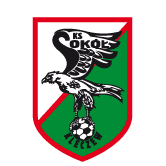 https://img.cz2sc.com/img/football/team/e6a8908dd206e2ea02d9803c82c60bba.png